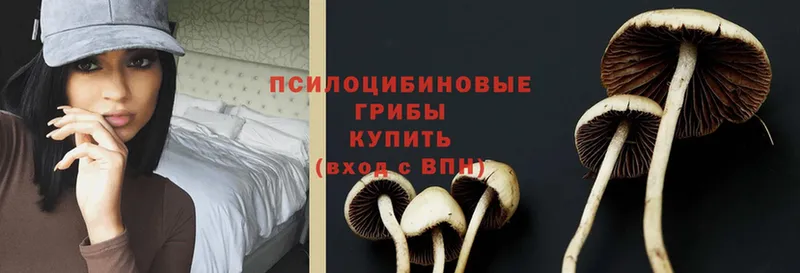 Псилоцибиновые грибы Psilocybine cubensis  мориарти формула  Азов 